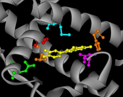 創薬研究職から内勤MAに転職したアラフォー会社員。Stay curious and keep exploring 🔎
2009- Medicinal Chemistry → 2023- Medical Affairs
