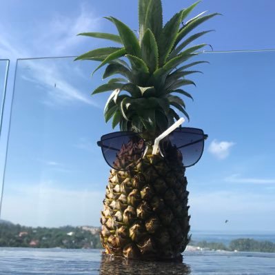 Shuichi50571295's profile picture. 