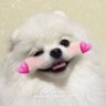 9403_takky's profile picture. ชอบกิน ชอบนอน ชอบนิยาย😝 เรื่อยๆเหนื่อยก็นอน😴