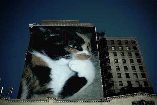 murano8955's profile picture. 仕事ときどき株式投資