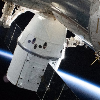 wilson__noah's profile picture. 