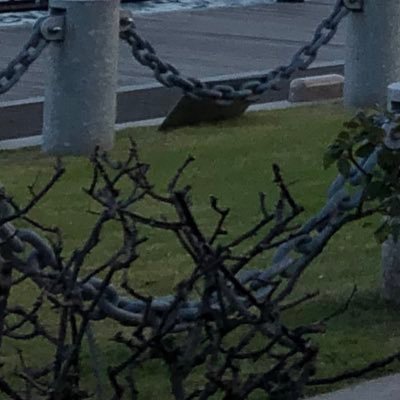 DonsonOO_660's profile picture. リツイート多いです。主に政治的な呟きを拡散しますが、たまに返信したりします。どうぞ宜しくお願いします。🎌🎌