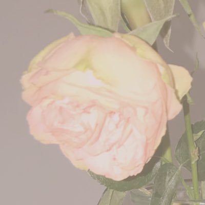 コレット寄宿学校のうつくしいこどもたちへR15さんのプロフィール画像