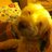 pastoralfi's profile image