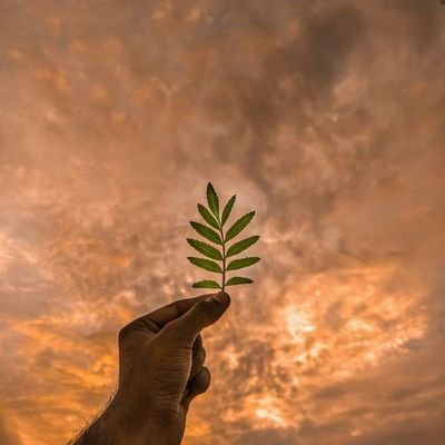 HirenMakadia2's profile picture. 