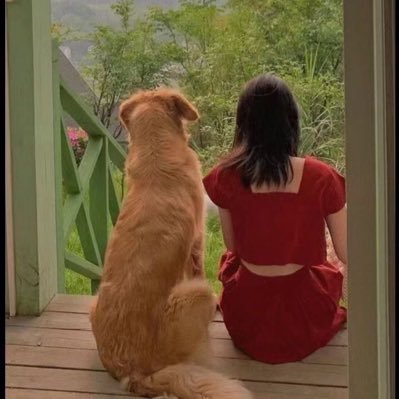 521Pzp's profile picture. sb一个