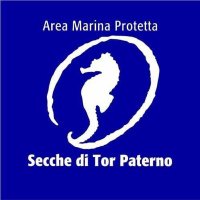 AMP SeccheTorPaterno (@amptorpaterno) 's Twitter Profile