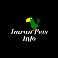 Imran Pets Info(@BreedingParrot) 's Twitter Profileg