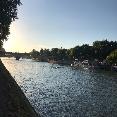 Sule49641876's profile picture. 