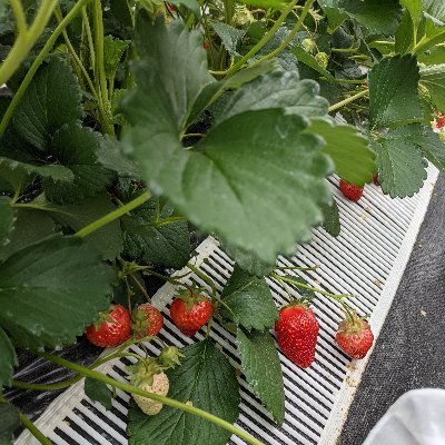 娘★10歳
色んな話を一生懸命してくれる可愛い女の子。私の宝物☆★

仕事：介護士
自分らしく働けるように、2018年からサ高住で楽しく元気に働いてます。

色んな事考えたり、チャレンジするのが好き。

♡ワンオク♡ルセラフィム♡