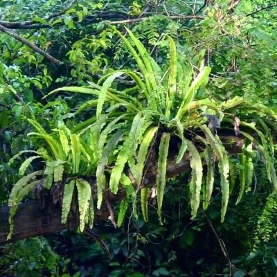 AuroraB00551274's profile picture. Random