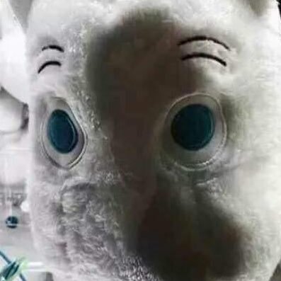 ca_mmo_'s profile picture. 사실적시적 명예훼손의 우려가 있음