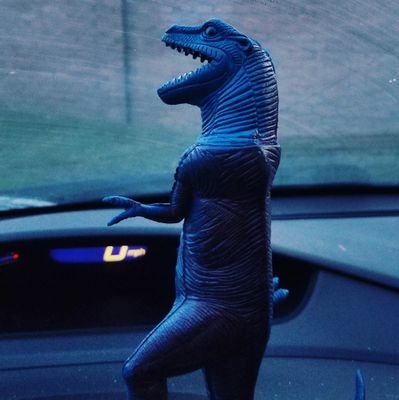 Bad dino with an education and a positive attitude. Cancer survivor.