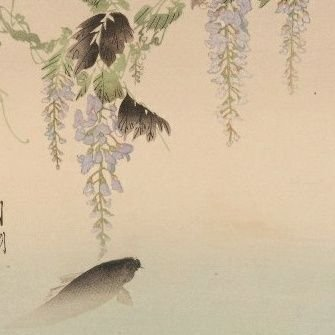 rimotieee's profile picture. 伝統芸能 🕰