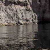 freakmeplease1's profile picture. only tops should message me