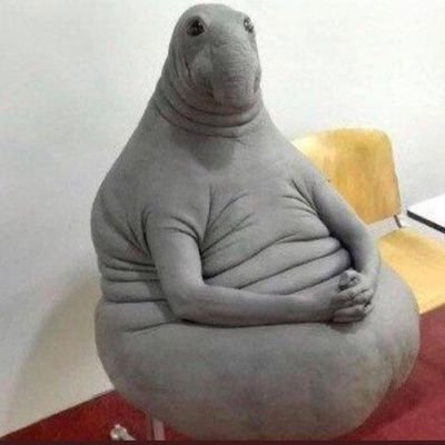 muurtaza_'s profile picture. emadder ⚖️⚖️⚖️⚖️⚖️⚖️⚖️⚖️⚖️