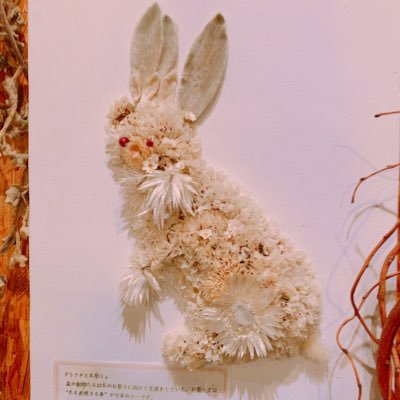 顎変形症(左右非対称)2021年3月2日 ルフォーI型+SSROで手術済。2022年5月17日プレ除去オトガイ形成済。同じ悩みを持つ方と繋がりたいです。情報収集、たまに経過記録用です。無言フォロー失礼します🙇🏼♀️