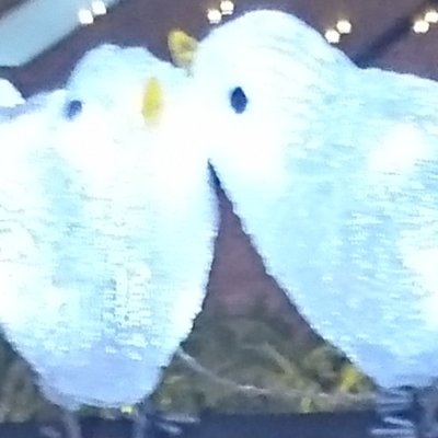 うさ (@axkZUqQX5bMDKtd) / Posts / X