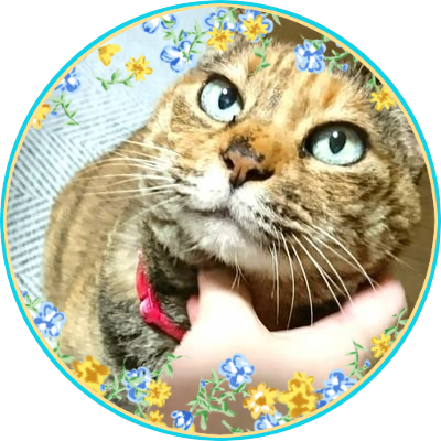 グルメ🍛🍰コスメ💄懸賞🎁漫画小説📖ゲーム🎮ねこ🐈犬🐶音楽💖 皆さまと情報交換できたら嬉しいです💕無言フォロー失礼します&無言フォロー歓迎✨企業さま懸賞中心🎯 #懸賞垢さんと繋がりたい #rituの当選報告 当選記録はメディア🎁🫶 フォロー外れてる時は🧊ですのでお待ちください🙇
