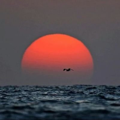 fas05033's profile picture. 