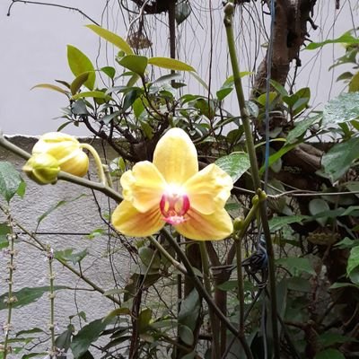 Thien45197669's profile picture. 