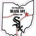 New Philadelphia Black Sox Baseball ❤⚾ (@npblacksox) Twitter profile photo