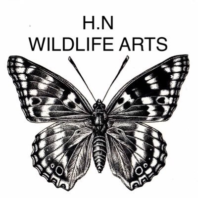 H.N WILDLIFE ARTSさんのプロフィール画像
