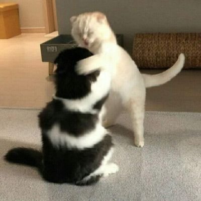 korp_chupchup01's profile picture. 𓆡 𓈒 𓏸𓈒𓂂𓂃 𓇼