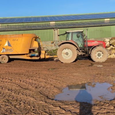 gwen22159381's profile picture. 