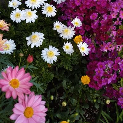 L4m6XfXOjVdgZcD's profile picture. 動物虐待事案でNPO法人レスキュードアニマルネットワーク代表理事である河合弘被告へ、罰金30万円の有罪判決が出ました。
被告人側は即日控訴したとのことで、今後も注視していきたいと思います🙇

その他の動物虐待も断固反対😿

#中国猫拷問ビジネス
#犬肉祭り
#animalcruelty
#animalabuse