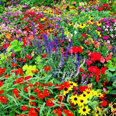 Interested in pollinator gardens, veggie growing, organic gardening, beekeeping, Bourbon, and landscaping.