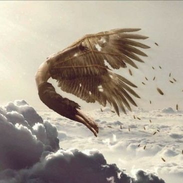 ThisDustwing's profile picture. He/They ◈ Queer ◈ Pure ADHD ◈ I talk too much ◈ Walking Pun ◈ I collect rocks