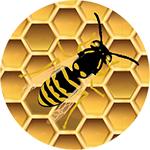 BeesAide's profile picture. Helping native bees.
