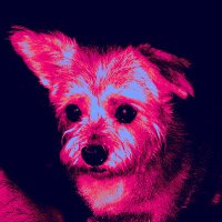 MogoodModifications (@mogoodmodifica1) 's Twitter Profile