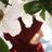rezvaninia_sh's profile image