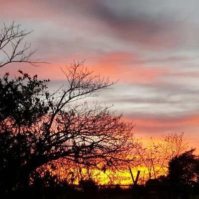 visanchez22's profile picture. 