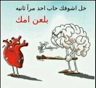 bo_yossef111222's profile picture. 