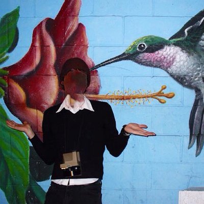 selasphorus1832's profile picture. 