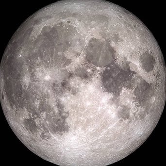 antz_ttt's profile picture. Konstantin Starunov