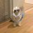 netanelavital's profile image