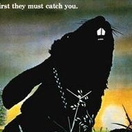 Bigwig70125760's profile picture. #BLM #MMIW I like to think I was always a lighthouse keeper.