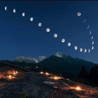 Forcora1's profile picture. organisme de formation continue en ostéopathie animale