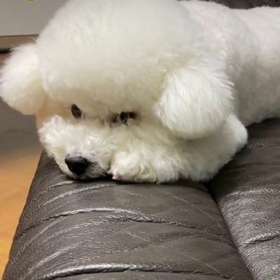 imm.ctrykさんのプロフィール画像