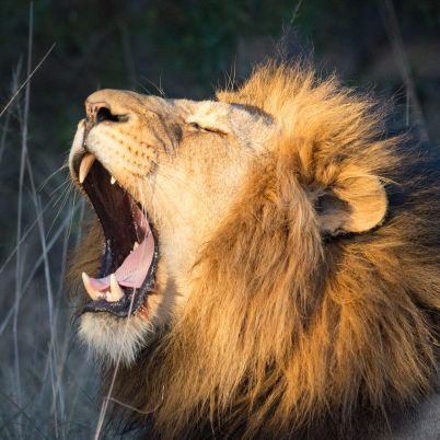 UncleT_'s profile picture. Family - Books - Sport - Life