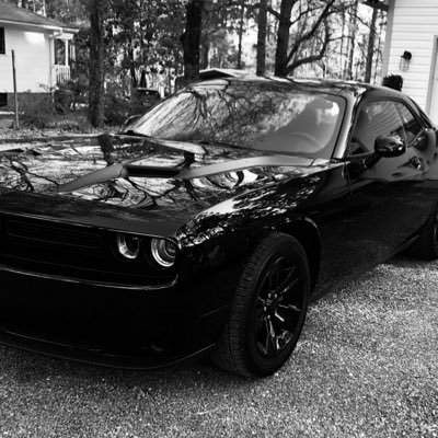 CMGX31972's profile picture. Just because you can doesn't mean you should.