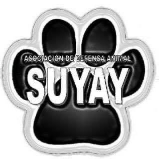 @AdaSuyay