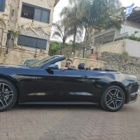 אליהו גולדמן (@pa_v9v1) 's Twitter Profile