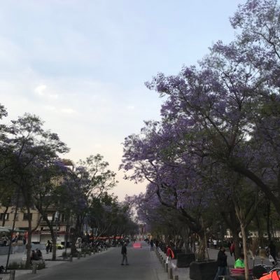 ManuVi1297's profile picture. Iguala. Gro