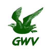 Gavin Wild Visuals(@gavinwildvisual) 's Twitter Profile Photo