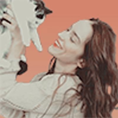 lonewolfearp's profile picture. 27. She/her. Chronically ill. #BLM #WynonnaEarp